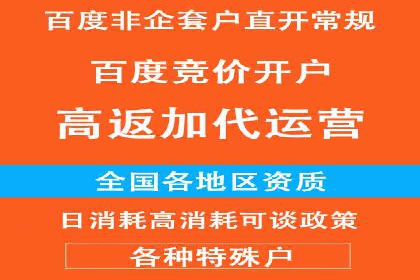 谷歌竞价案例：跨境电商广告投放策略