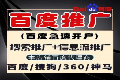 SEM精准广告投放的五大成功案例